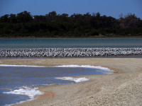 Lake Preston - Main Spit at South End